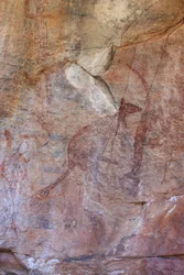 カンガルーとサイラシン